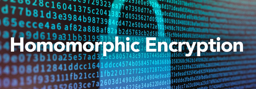 Exploring Fully Homomorphic Encryption